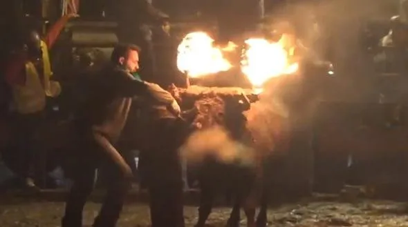 Böyle bir vahÅet görülmedi... Diri diri yaktılar...