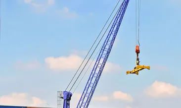 Rüyada vinç görmek ne anlama gelir?