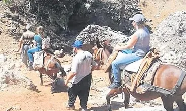 Mühendisler at sırtında görev yapıyor