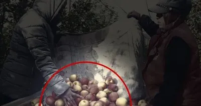 Son hasat tamam! Büyükşehirde fiyatı tam 4 kat daha pahalı