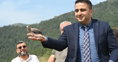 Tedavisi tamamlanan yaban hayvanları doğaya bırakıldı #hatay