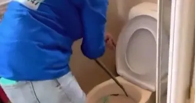 4 metre uzunluğundaki yılan klozetin içinde aniden belirdi! Genç adam hayatının şokunu yaşadı