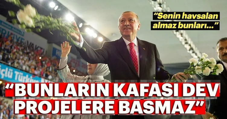 Bunların kafası dev projelere basmaz