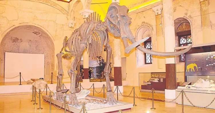 Doğa tarihi ilgi odağı