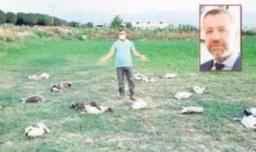 40 kazı vurduğu öne sürülen CHP’li başkan: Ben vurmadım babam vurmuş #denizli 40 kazı vurduğu öne sürülen CHP’li başkan: Ben vurmadım babam vurmuş #denizli