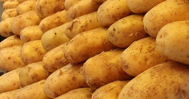 Avrupa’da patates krizi