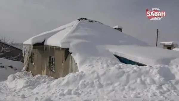 Yüksekova'da evler kara gömüldü | Video