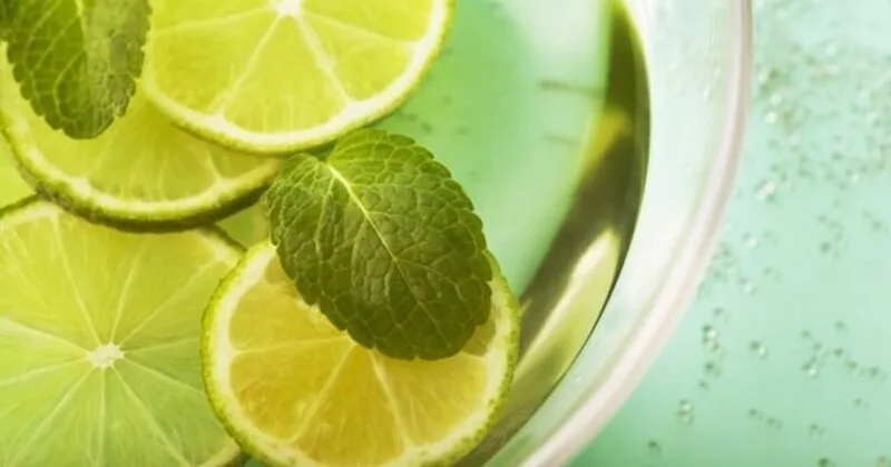 nane limon faydalari nelerdir nane limon neye iyi gelir saglik haberleri