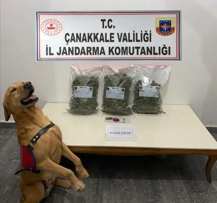 Çanakkale’de uyuşturucu operasyonu: 2 gözaltı