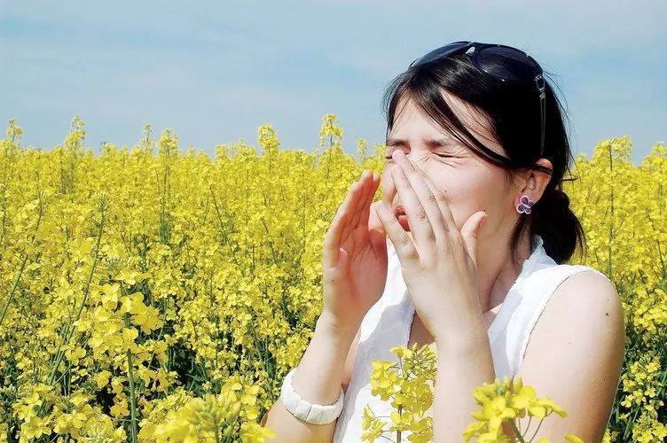 Polenler alerjik sinüziti tetikliyor!