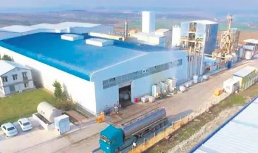 Her yıl bir Van Gölü kurtulacak