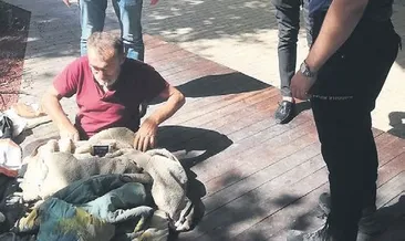 Valilik evsizleri korumaya aldı