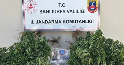 Şanlıurfa'da polis ve jandarmadan uyuşturucu operasyonu: 2 gözaltı #sanliurfa