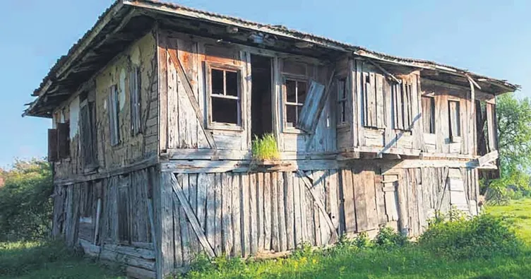 Koyun kırpıp ağaç budayın