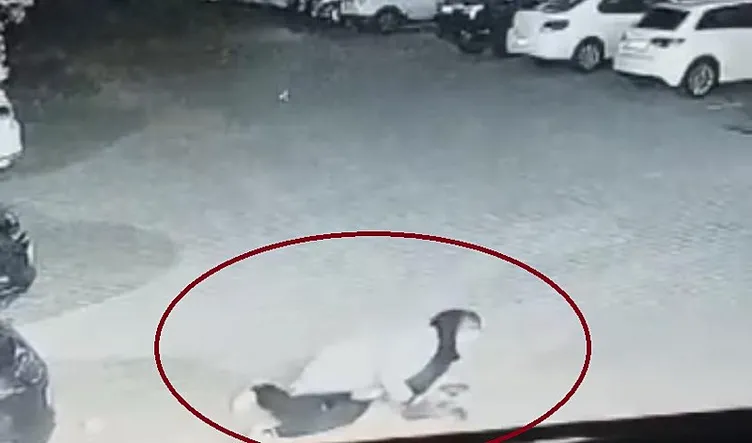 Diyarbakır’da bir sitede köpek dehşeti: 3 kişi yaralandı!