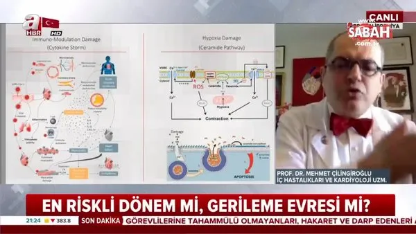 Koronavirüs hangi hastalıkları tetikliyor? Prof. Dr. Mehmet Çilingiroğlu değerlendirdi | Video