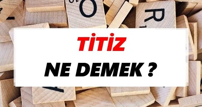 Titiz Ne Demek? TDK’ya Göre Titiz Sözlük Anlamı Nedir?