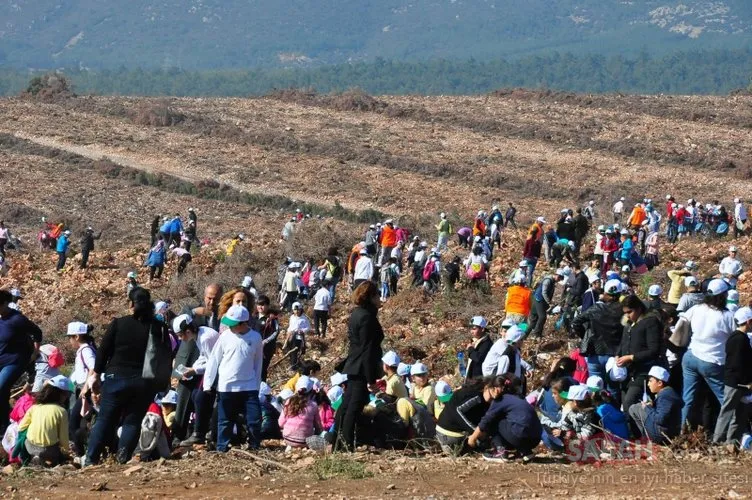 Başkan Erdoğan o projeyi resmen başlattı! 81 ilde milyonlarca fidan toprakla buluşmaya başladı