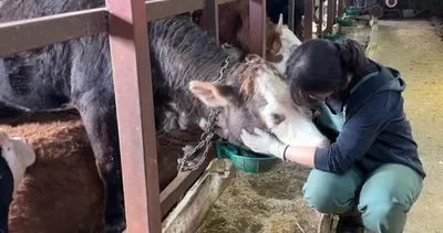 Hayvancılığa başladı! Mutluluğu buldu