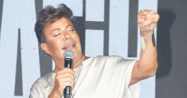 Esprili şekilde sivrisinek sitemi