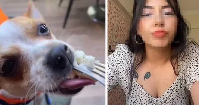Son dakika: Yine Tiktok skandalı! Lüks restoranda köpeğine çatalla yemek yedirdi
