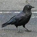 Tarihte bugün 27 Kasım