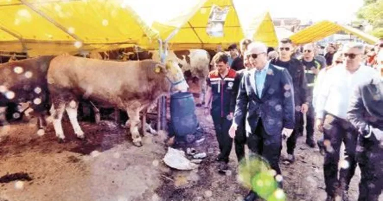 Kurbanlıkların çoğu satıldı