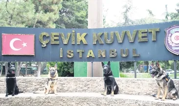 Patili kahramanlar suçluların peşinde