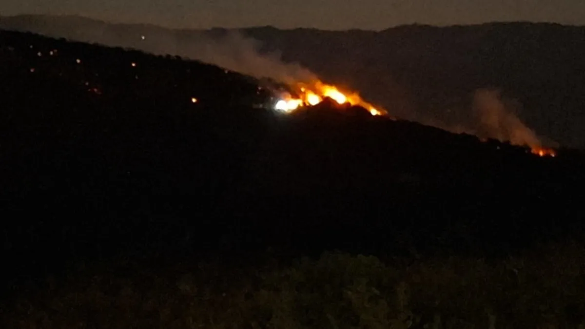 Manisa'daki yangına müdahale sürüyor! Alevler Uşak sınırına ulaştı
