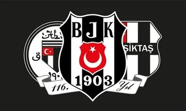 Nemanja Djurisic, Beşiktaş’ta