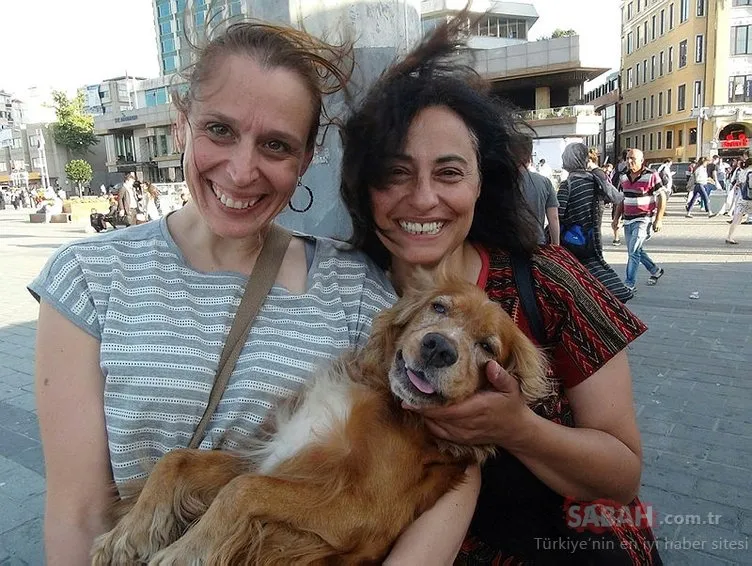 2 bin lira ödüllü köpek, Taksim metrosunda bulundu