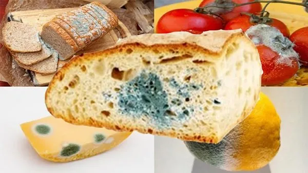 Küflü gıdaların karaciğerinize verdiği zararı bilseniz…