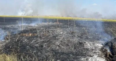 Tekirdağ'da çıkan yangında 830 dönüm tarım arazisi zarar gördü #tekirdag