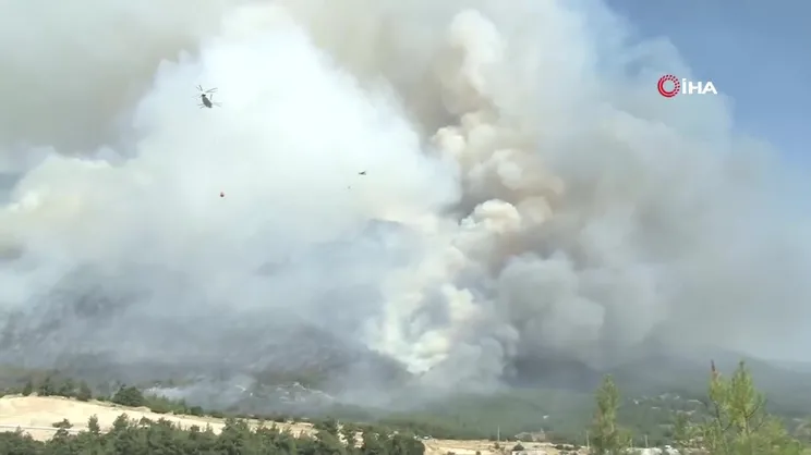 Denizli'de orman yangını