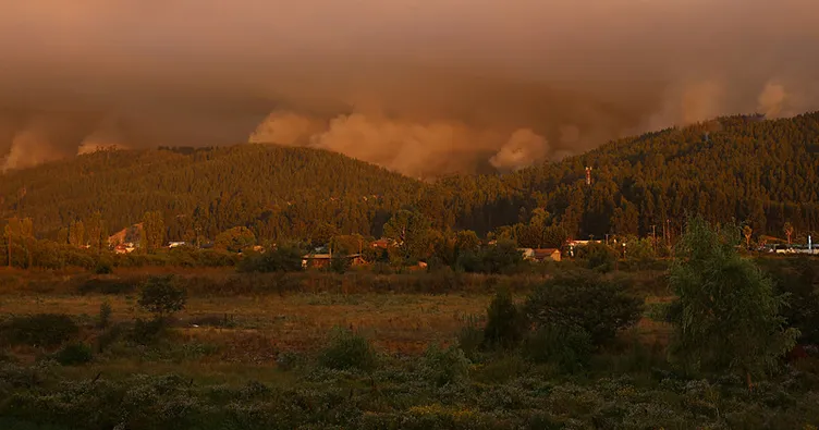 Şili’de orman yangını faciası: 18 ölü