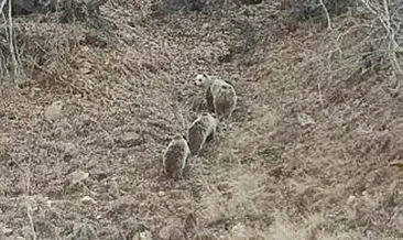 Kar yağmayınca onları da uyku tutmadı!