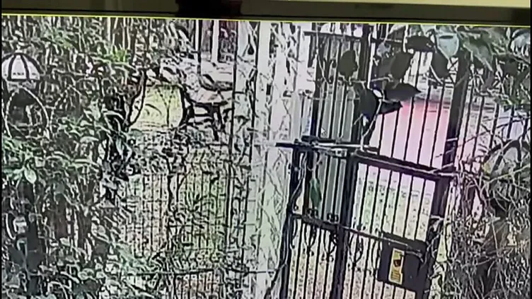 SON DAKİKA... İstanbul Esenyurt’ta vahşet! 16 yaşındaki Egemen 79 yaşındaki Mustafa Ergene’yi tek yumrukla öldürdü!