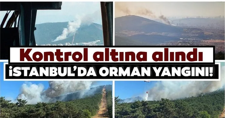 Son dakika: İstanbul Kayışdağı’nda orman yangını