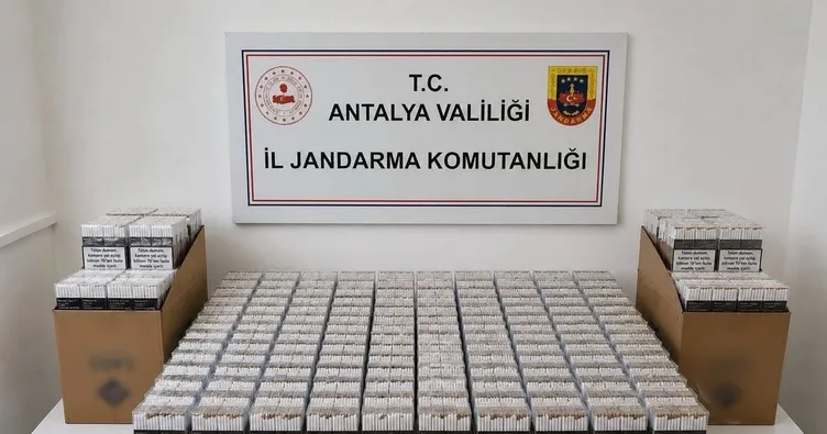 Alanya’da kaçak tütün operasyonu