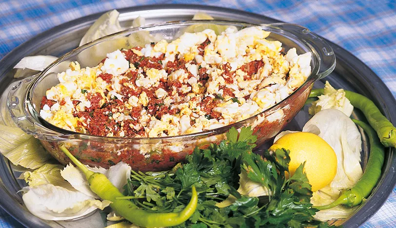 Yumurtalı Kısır