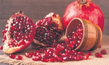 Türkiye’nin tohum haritası