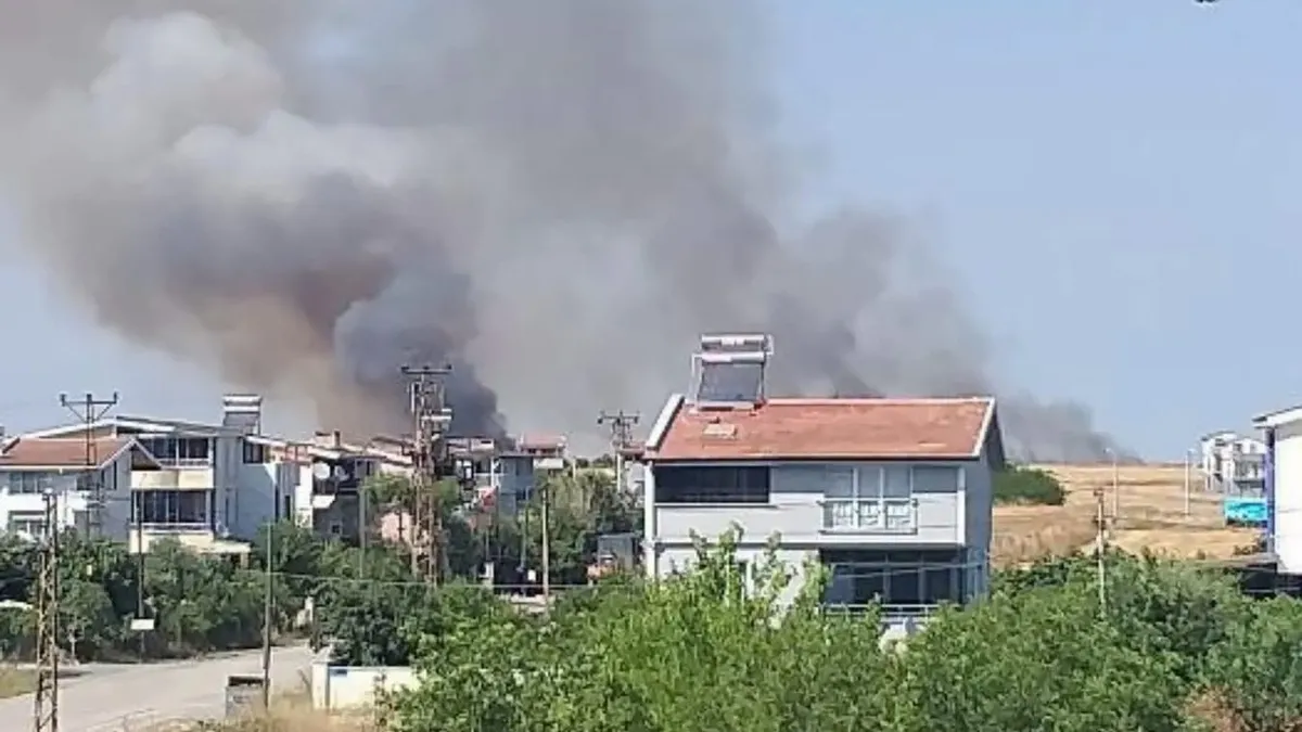 Tekirdağ Marmaraereğlisi'nde yangın bölgesinden görüntüler