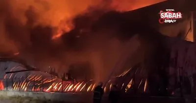 Manisa’da kauçuk fabrikasında yangın