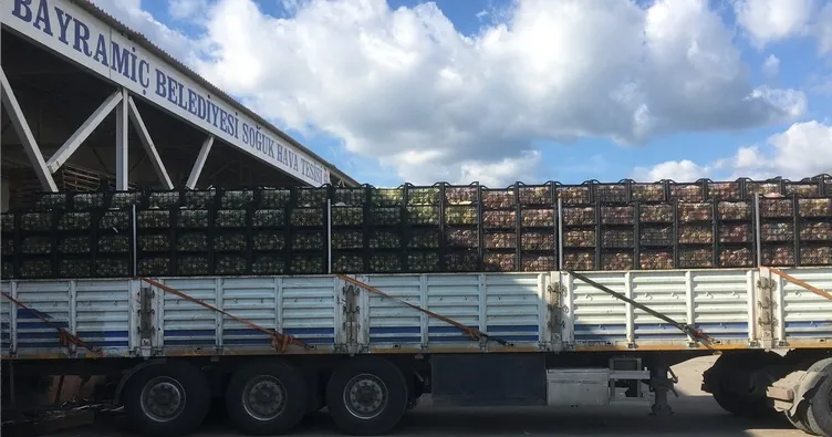 Ödeyeceğim dedi, serbest kaldı