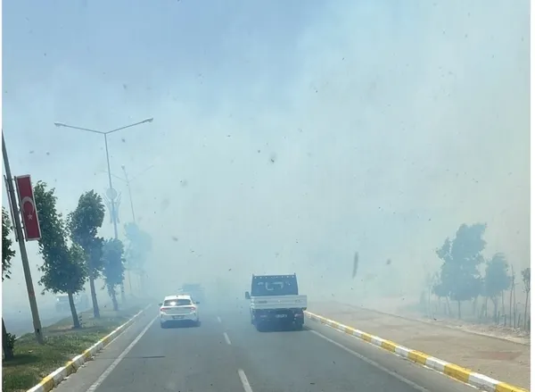 aniz-yangini-mardin-kiziltepe-karayolunda-trafigi-aksatti-1782226089643.jpg