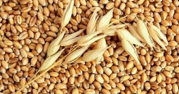 TMO’ya sıfır gümrükle tahıl ithalatı yetkisi
