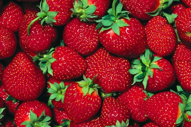 Yağ yakmak istiyorsanız aç karnına her sabah…