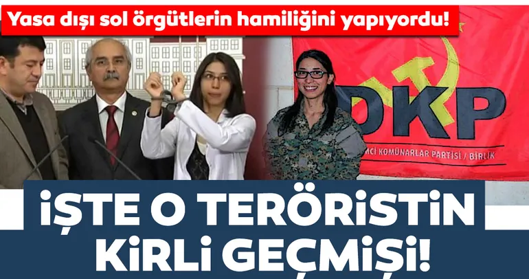 Terörist Özge Aydın'ın kirli geçmişi
