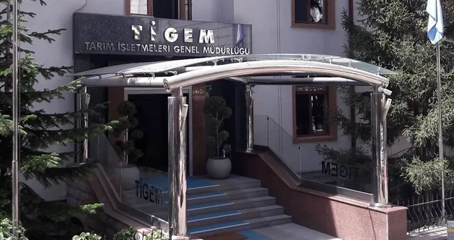 TİGEM 34 safkan Arap koşu tayı satacak