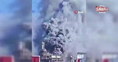 Fransa’da yağlı tohum işleme tesisinde patlama | Video